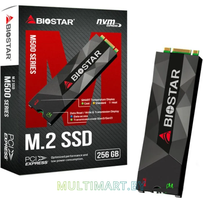 SSD диск BIOSTAR M500 256GB (M500-256GB)
